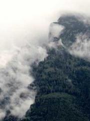 Morning sickness aft