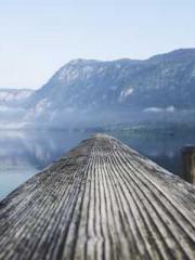 Professor Yan is goi