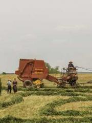 Becoming a Farm Girl