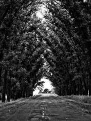 A wife hopes to rema