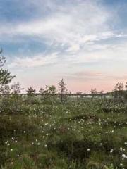 lt;lt;lt;Reborn Soar