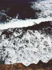 Reborn in the Apocal