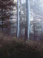 High School Campus S