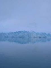 A Lifetime of Captiv