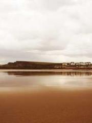 lt;lt; The Divine Do