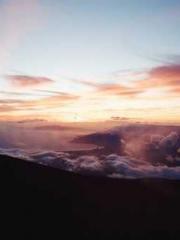 My Amazing Female Te