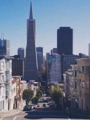 Omnipotent Mad Young