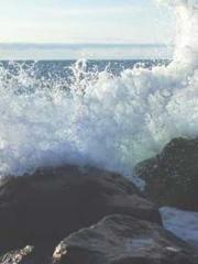 lt;Marry at first si